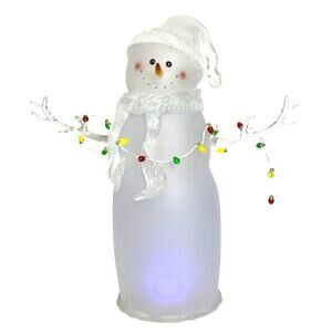 Whimisal Frosted Acrylic 20” Color Changing Snowman Holding String of Lights